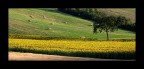 Paesaggio solare Paesaggio solare