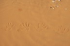mani nel deserto mani nel deserto