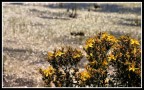 Alla luce del sole Alla luce del sole