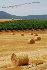 La campagna maremmana La campagna maremmana