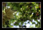 Abito d'Autunno