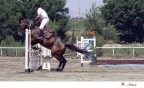 Il salto Il salto
