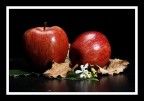 Life Stands Still Life Stands Still