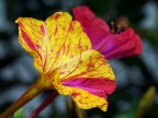 I love colours attoII I love colours attoII
