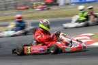 Camp. ital. karting 100-125 a Sarno (SA)