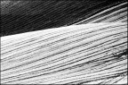 Semplicemente linee Semplicemente linee