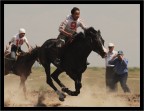 Horse Day Horse Day