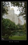 Continuo con la serie di New York Continuo con la serie di New York
