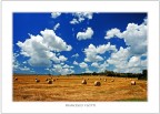Paesaggio di meta' luglio Paesaggio di meta' luglio