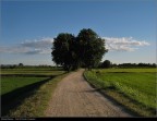 Strada bianca Strada bianca