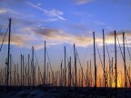 voglia d'oceano... voglia d'oceano...