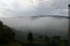 ...nebbiolina... ...nebbiolina...