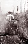 lavorare la terra