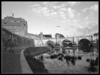 La mia Roma La mia Roma