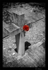 In memoria In memoria