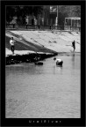 Ural River Ural River