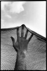la mano la mano