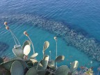 tropea tropea