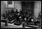 Orchestra Orchestra