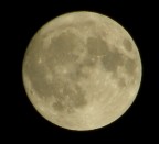 LUNA LUNA