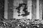 il segno della musica il segno della musica