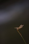 Sulla riva del fiume Sulla riva del fiume