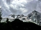 Marmolada tenebrosa Marmolada tenebrosa