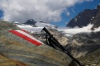 bernina bernina