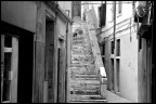 le nuove invasioni le nuove invasioni