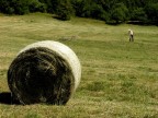 Fieno sul monte Bondone