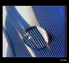 Percezioni Amplificate