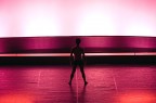 Ballerino Ballerino