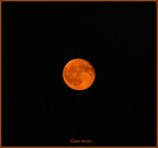Luna rossa Luna rossa