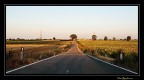 La Via per....la terra di mezzo La Via per....la terra di mezzo