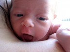 in braccio alla sua mamma... in braccio alla sua mamma...