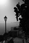 Sapori del sud Sapori del sud