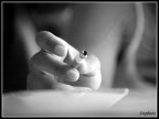 La noia La noia