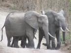 Tanzania Tanzania