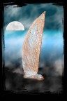 TRIPI VELA TRIPI VELA