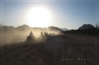 Sinai Desert Sinai Desert