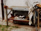 Siesta alla Giudecca Siesta alla Giudecca