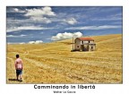 Camminando in libert�