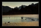 La luce della sera La luce della sera