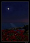Floreata al chiaro di luna Floreata al chiaro di luna
