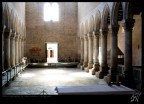 Aquileia - Basilica #2 Aquileia - Basilica #2