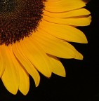 E con questi scatti vi lascio per due settimane.

Me ne vado al Mare. E ovviamente mi porto via la mia Tesoruccia, torner� con altre foto. 

Cercher� di ricordarmi tutti i suggerimenti e le critiche che mi avete rifilato. :)

Va bene dai... vi saluto. Ciao ciao!!!