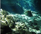 Cenote Dos Ojos(Mexico) Cenote Dos Ojos(Mexico)