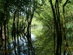 Natura incontaminata Natura incontaminata