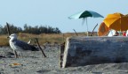 Tutti al mare Tutti al mare