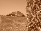 Campagna Campagna